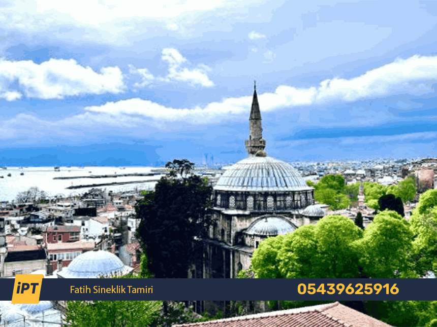 Fatih Sineklik Tamiri